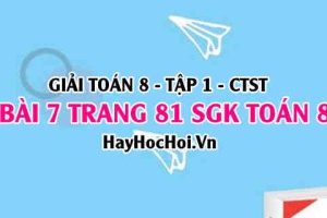 Giải bài 7 trang 81 Toán 8 Tập 1 SGK Chân trời sáng tạo